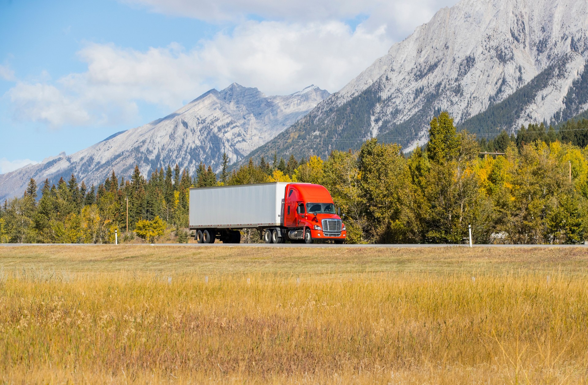 Heavy Cargo on the Road